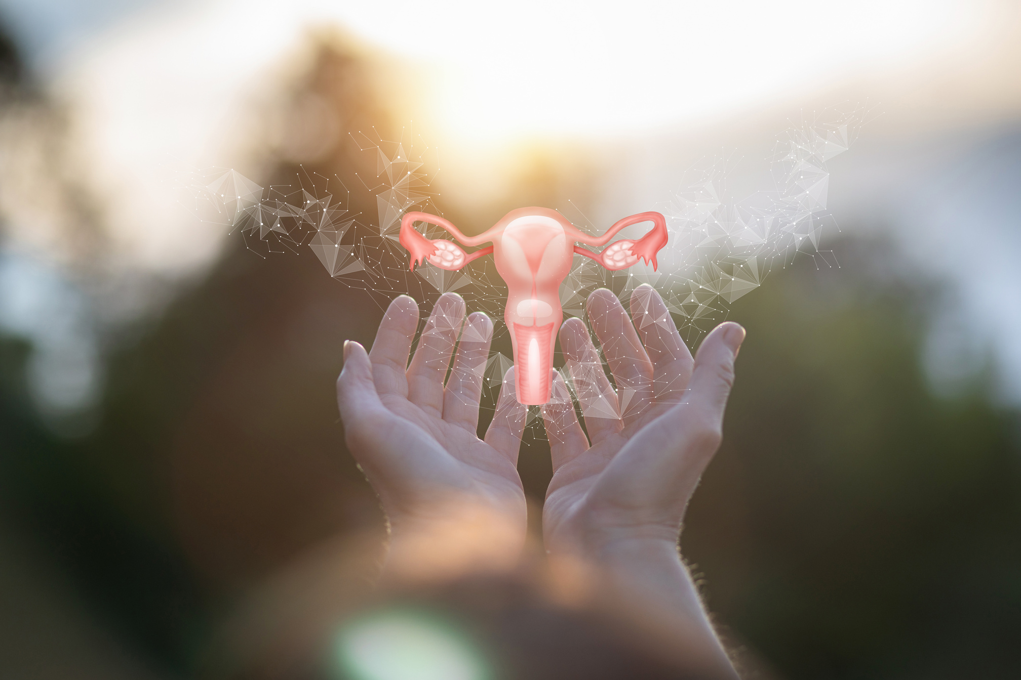 Uterus support and treatment concept.